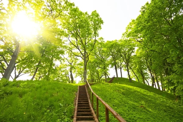 Ladder to the hill, summer — Stock Photo, Image