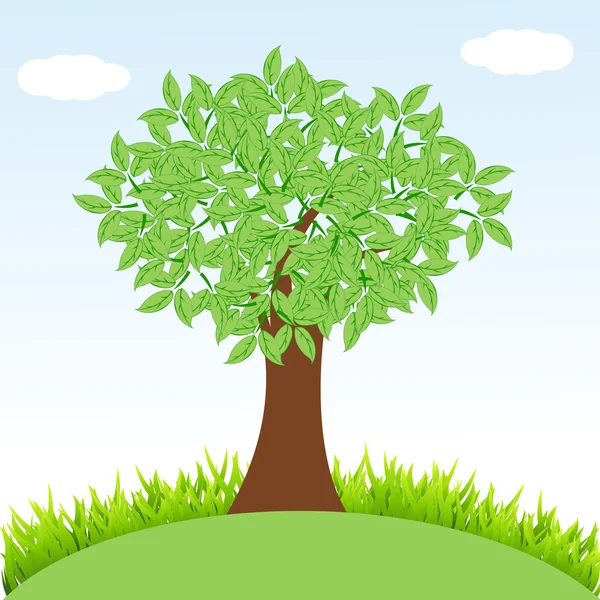 Natuurlijke boom met gras — Stockfoto