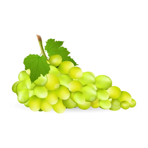 Uvas con hoja — Foto de Stock