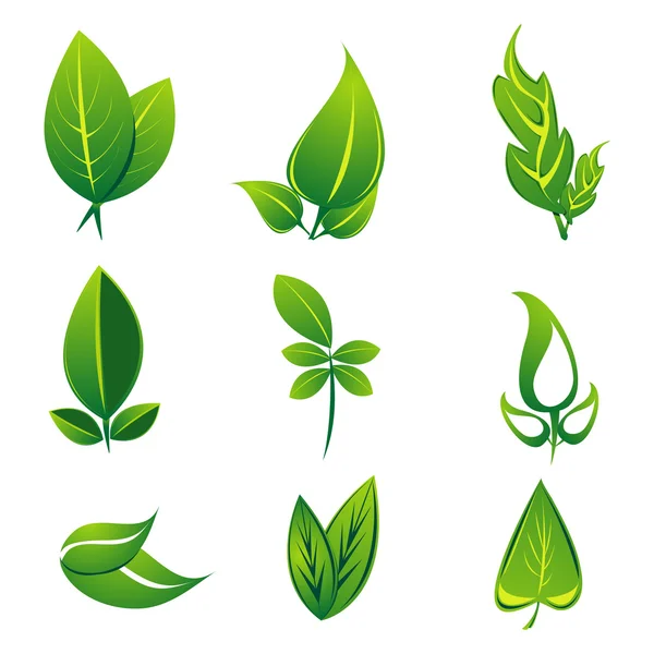 Natural leaf — Stock Photo, Image