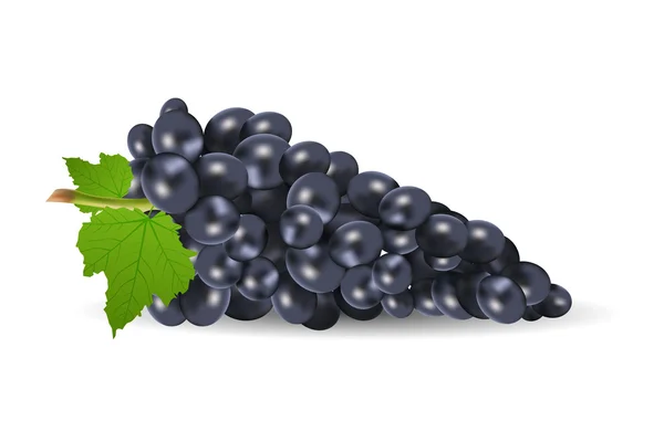Uvas con hoja —  Fotos de Stock