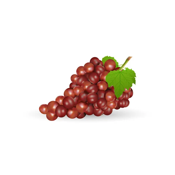 Uvas con hoja — Foto de Stock