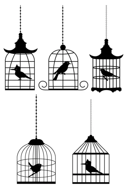 Uccello in gabbia — Foto Stock