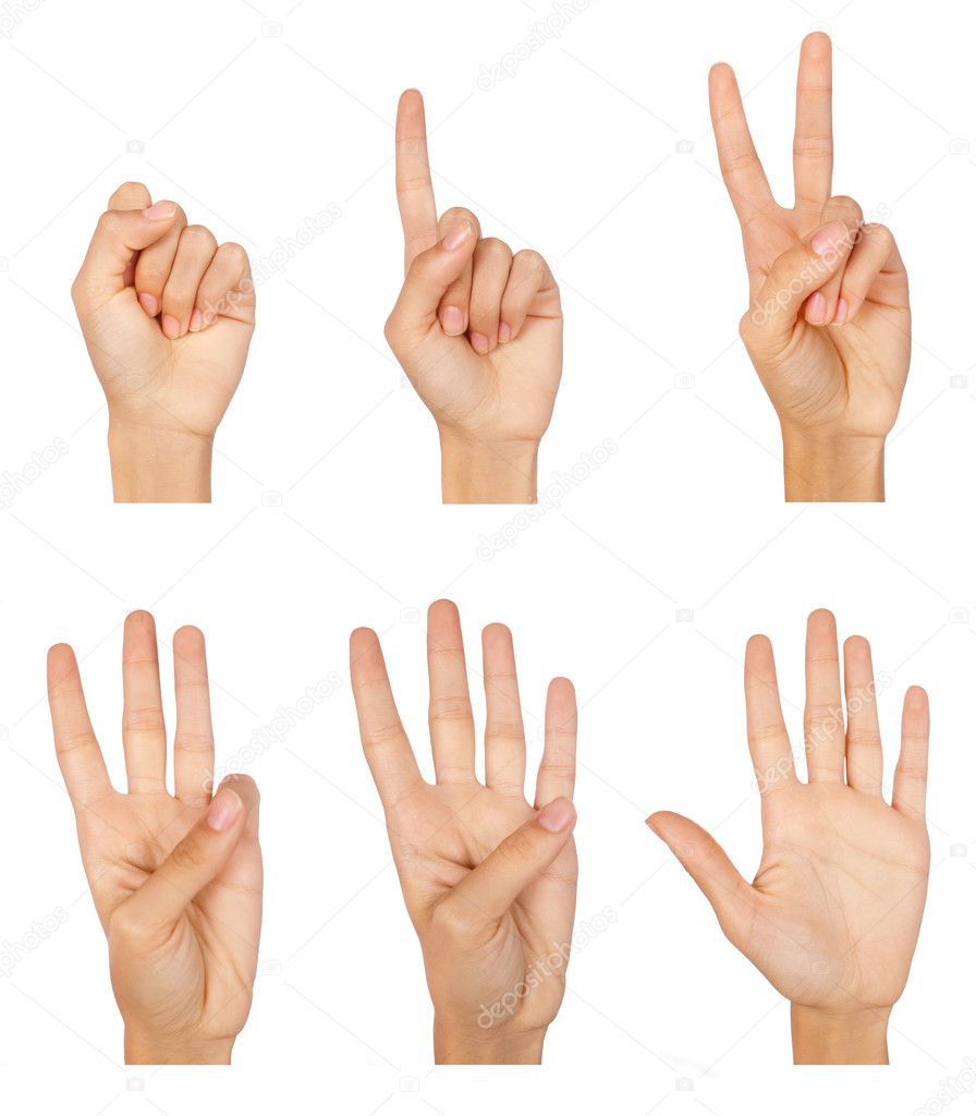 Set of counting hands sign isolated on white