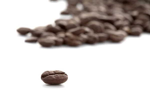 Grains of coffee scattering — Stock Photo, Image
