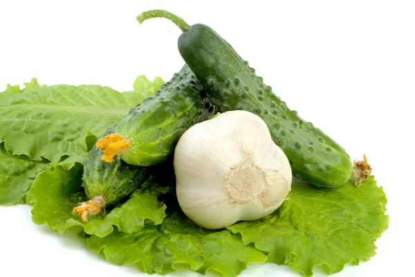 Zelené okurky s česnekem a salátovými listy — Stock fotografie