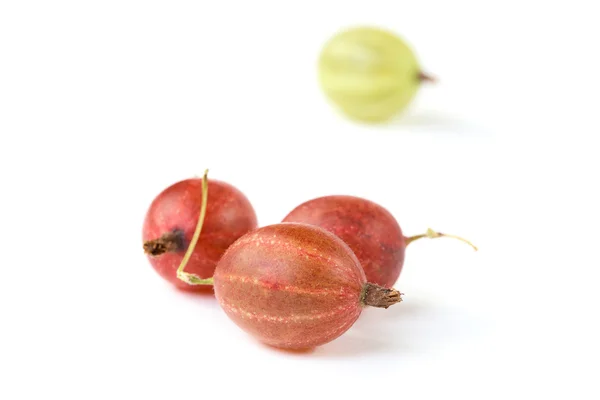 Red and green gooseberry isolated — Stock Photo, Image