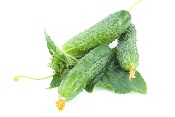 Gröna gurkor med blad isolerade — Stockfoto