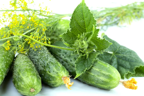 Groene komkommers met bladeren geïsoleerd — Stockfoto