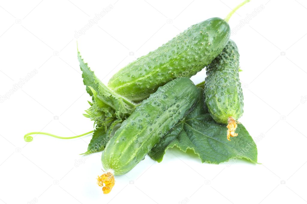 Green cucumbers with leaves isolated