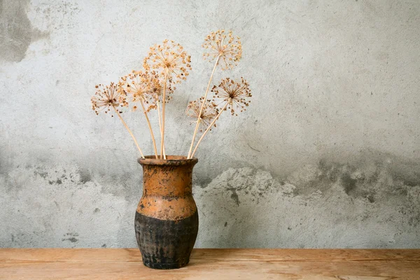 Vecchia brocca con fiore secco — Foto Stock