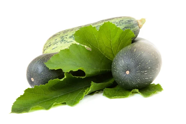 Vegetabiliska squash med gröna blad isolerade — Stockfoto