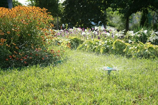 stock image Grass Sprinkler