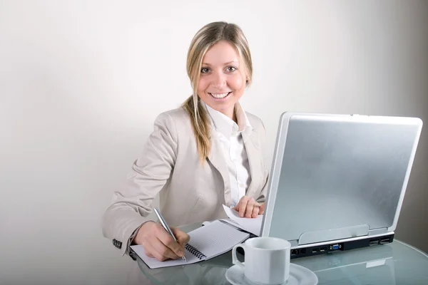 Genç iş kadını bir laptop Telifsiz Stok Imajlar