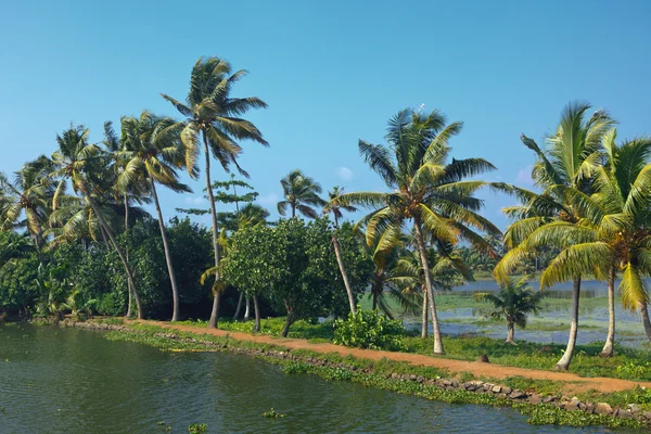 Rozlewiska Kerali — Zdjęcie stockowe