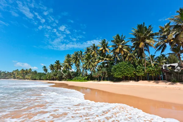 Ειδυλλιακή παραλία. Σρι Λάνκα — Φωτογραφία Αρχείου