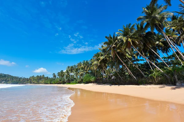 Ідилічний пляж. Шрі-Ланка — стокове фото