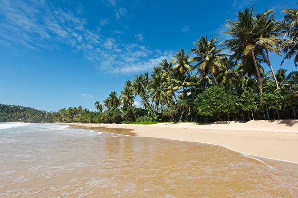 Playa idílica. Sri Lanka —  Fotos de Stock