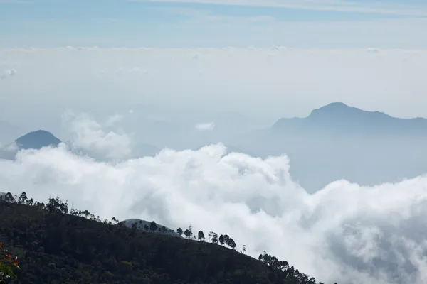 Mountains in clouds. Kodaikanal, Tamil Nadu — Stock Photo, Image