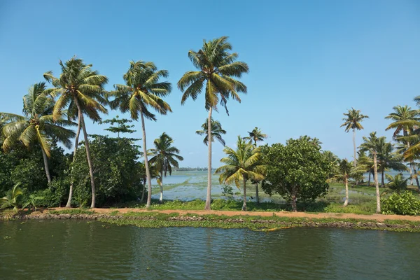 케랄라의 backwaters — 스톡 사진