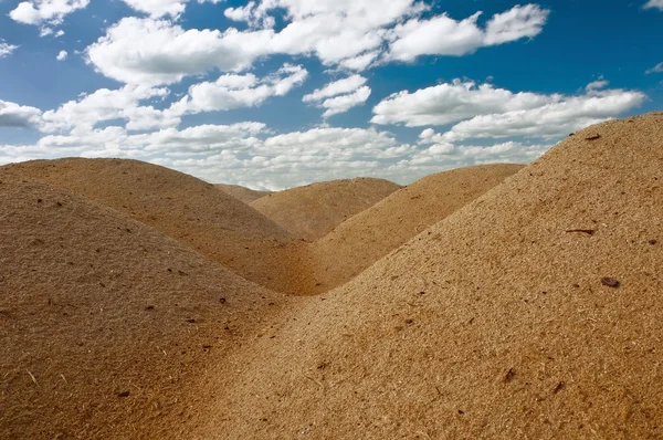 stock image Sawdust