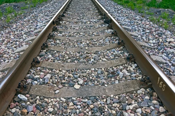 The railway — Stock Photo, Image