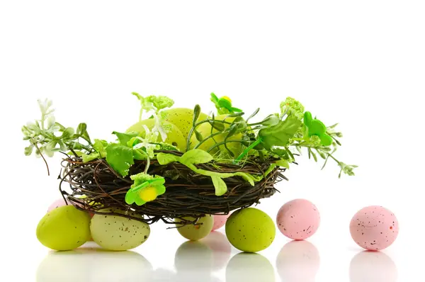Dekoratives Osternest mit Eiern — Stockfoto