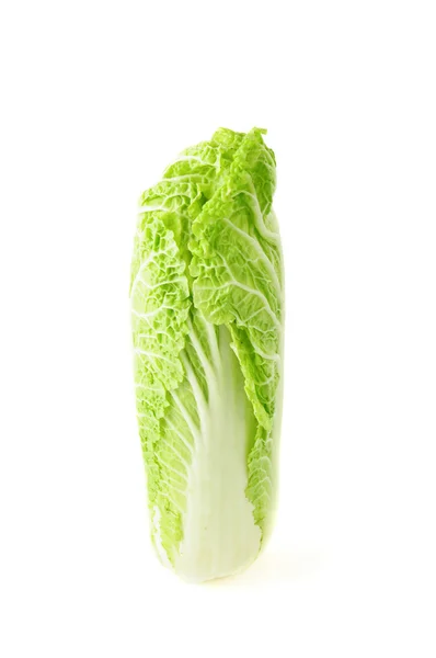 Chinese cabbage — Stock Photo, Image