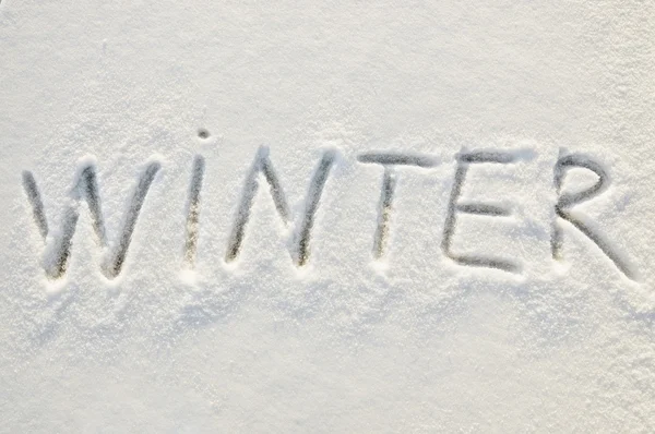 Winter op sneeuw — Stockfoto