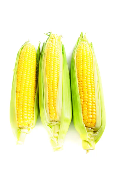 Tres mazorcas de maíz —  Fotos de Stock