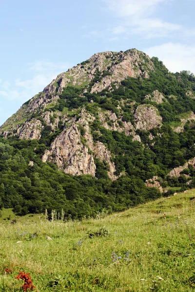 Vid foten av den norr Caucasusen — Stockfoto