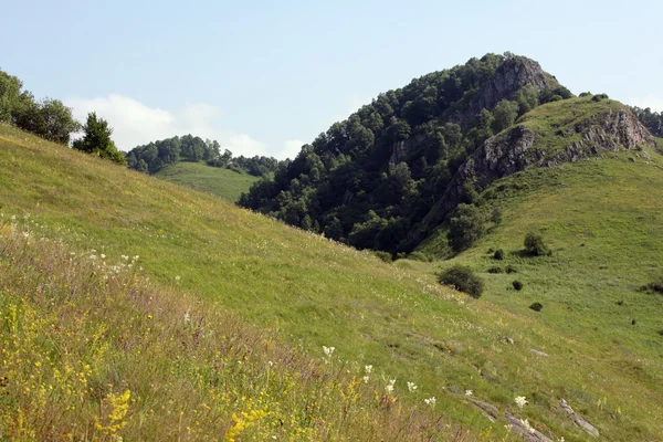 stock image Foothills of the North Caucasus