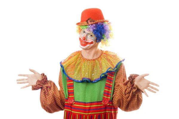 Portrét klauna. samostatný — Stock fotografie