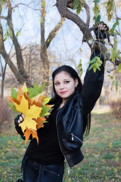 Mujer joven en el parque de otoño — Foto de Stock