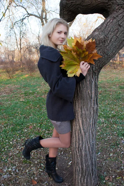 Mujer joven en el parque de otoño — Foto de Stock