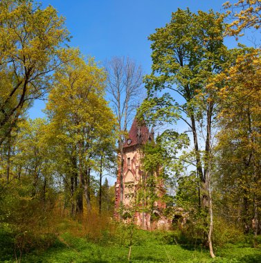 Ruined tower Chapelle in Pushkin Town, Russia clipart
