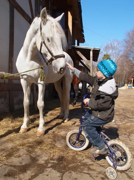 Мальчик и белая лошадь — стоковое фото