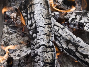Firewood ashes clipart