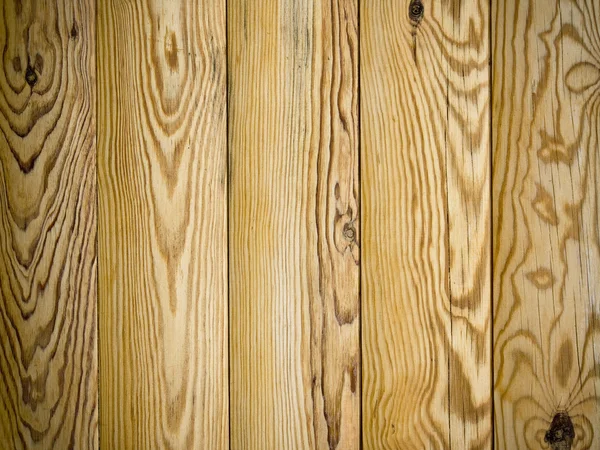Pine background — Stock Photo, Image