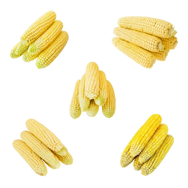 Zbiór kukurydzy — Zdjęcie stockowe