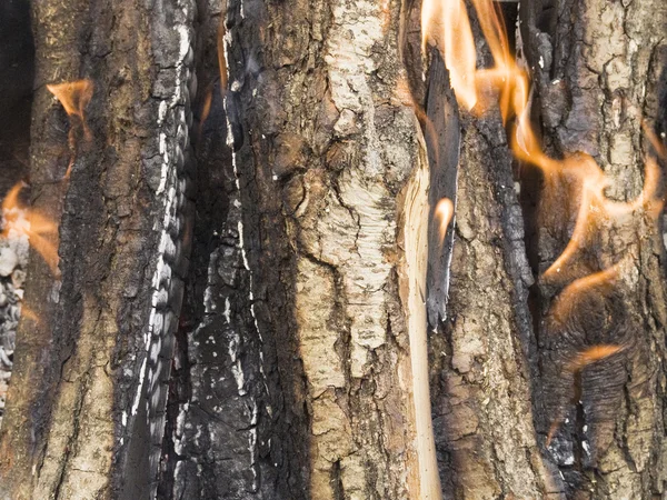 Tűzifa, égő — Stock Fotó