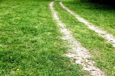 Road in green grass