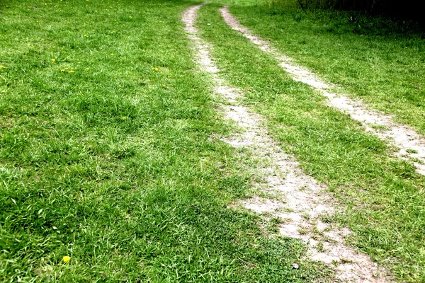 stock image Road in green grass