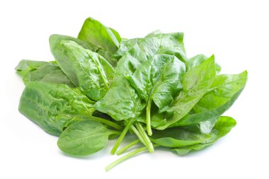 Spinach clipart