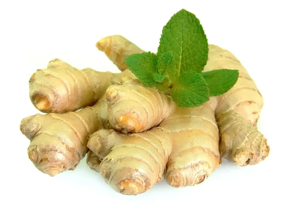 Root of ginger with mint — Stock Photo, Image