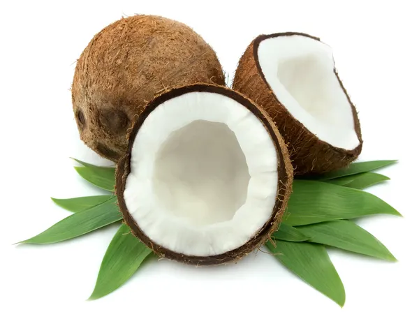 Kokosnuss mit Blättern Stockbild
