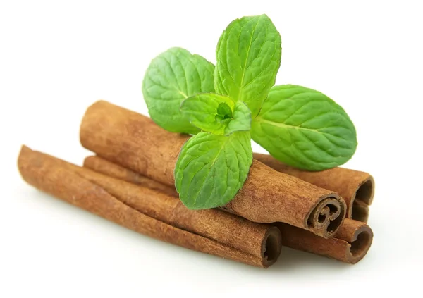Cinnamon with mint — Stock Photo, Image