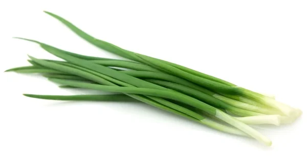 Young onions — Stock Photo, Image