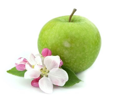 Apple with flower clipart