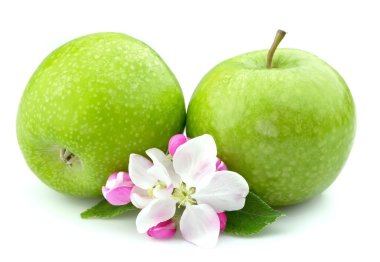 Apples with flower clipart